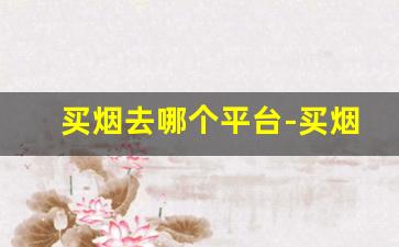 买烟去哪个平台-买烟怎么买上哪里买