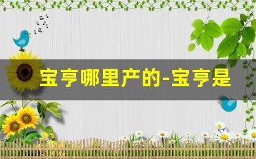 宝亨哪里产的-宝亨是哪国的品牌