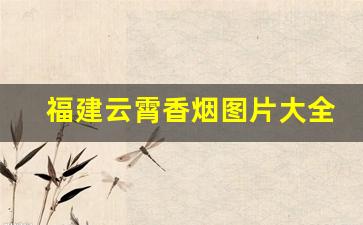 福建云霄香烟图片大全大图-福建云霄细支香烟一条多少钱