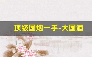 顶级国烟一手-大国酒香烟多少钱一条细支