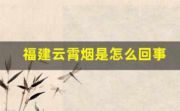 福建云霄烟是怎么回事