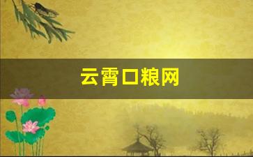 云霄口粮网