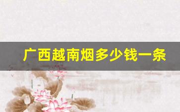 广西越南烟多少钱一条-越南烟rmb多少钱一条