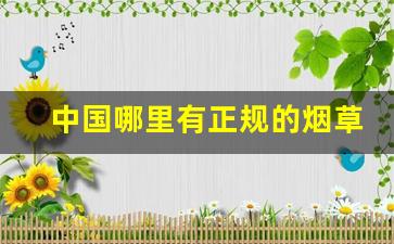 中国哪里有正规的烟草公司-中国烟草是否在每个地方都有公司