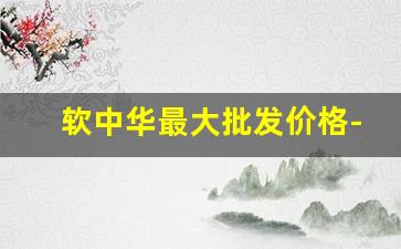 软中华最大批发价格-2016年软中华批发多少钱一条