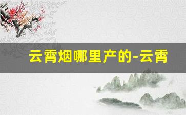 云霄烟哪里产的-云霄烟 现状介绍价目表