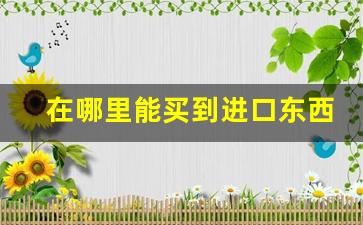 在哪里能买到进口东西-进口的东西哪里最便宜