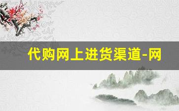 代购网上进货渠道-网上代购平台哪里有