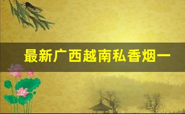 最新广西越南私香烟一手货源在哪买？-越南烟一手批发南宁