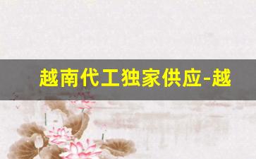 越南代工独家供应-越南代工和广西代工