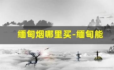 缅甸烟哪里买-缅甸能买到什么烟