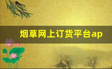 烟草网上订货平台app-烟草易付的付款步骤