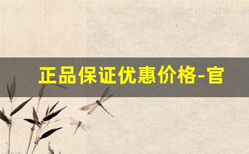 正品保证优惠价格-官方正品好用实惠