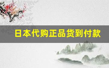 日本代购正品货到付款-日本进口官方旗舰店海外代购