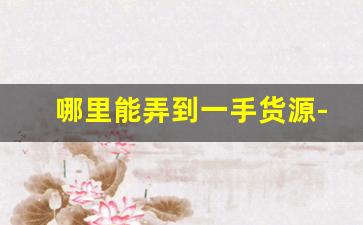 哪里能弄到一手货源-在哪里拿货可以拿到一手货源