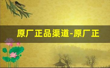 原厂正品渠道-原厂正品欢迎选购