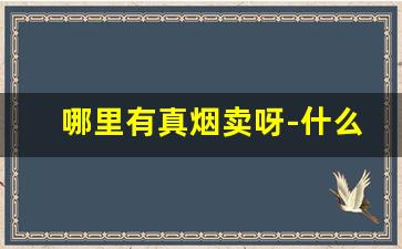 哪里有真烟卖呀-什么地方能买到真烟