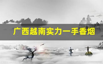 广西越南实力一手香烟厂家-广西越南烟一手批发东兴