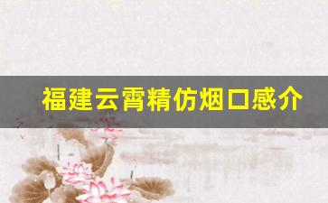 福建云霄精仿烟口感介绍