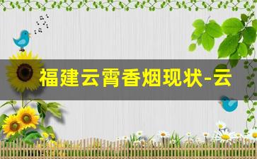 福建云霄香烟现状-云霄香烟哪个省份生产的