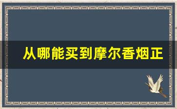 从哪能买到摩尔香烟正品店-绿摩尔女士香烟多少钱