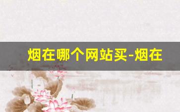 烟在哪个网站买-烟在哪里扫可以看到价格