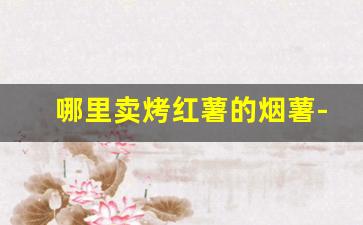 哪里卖烤红薯的烟薯-卖烤红薯的薯在哪买的