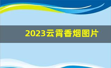 2023云霄香烟图片与价格-2025年云霄香烟价格表预测
