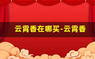 云霄香在哪买-云霄香批发直播间