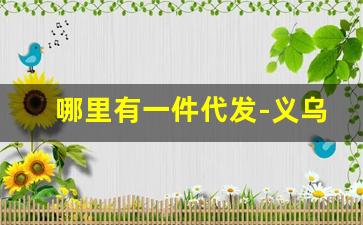哪里有一件代发-义乌小商品批发市场
