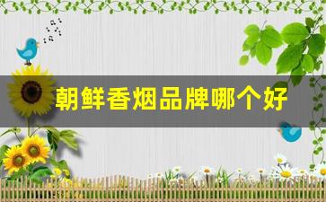 朝鲜香烟品牌哪个好