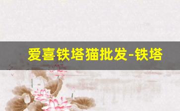 爱喜铁塔猫批发-铁塔猫一包价格表