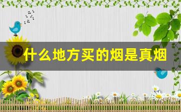 什么地方买的烟是真烟-怎么百分百买到真烟