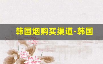 韩国烟购买渠道-韩国烟要哪里才买得到