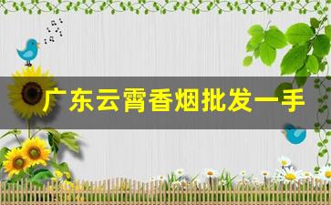 广东云霄香烟批发一手货源-云霄烟批发简易包装