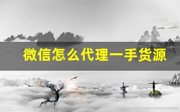 微信怎么代理一手货源-微信上的货源从哪里来