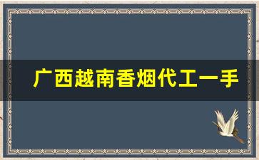 广西越南香烟代工一手货源